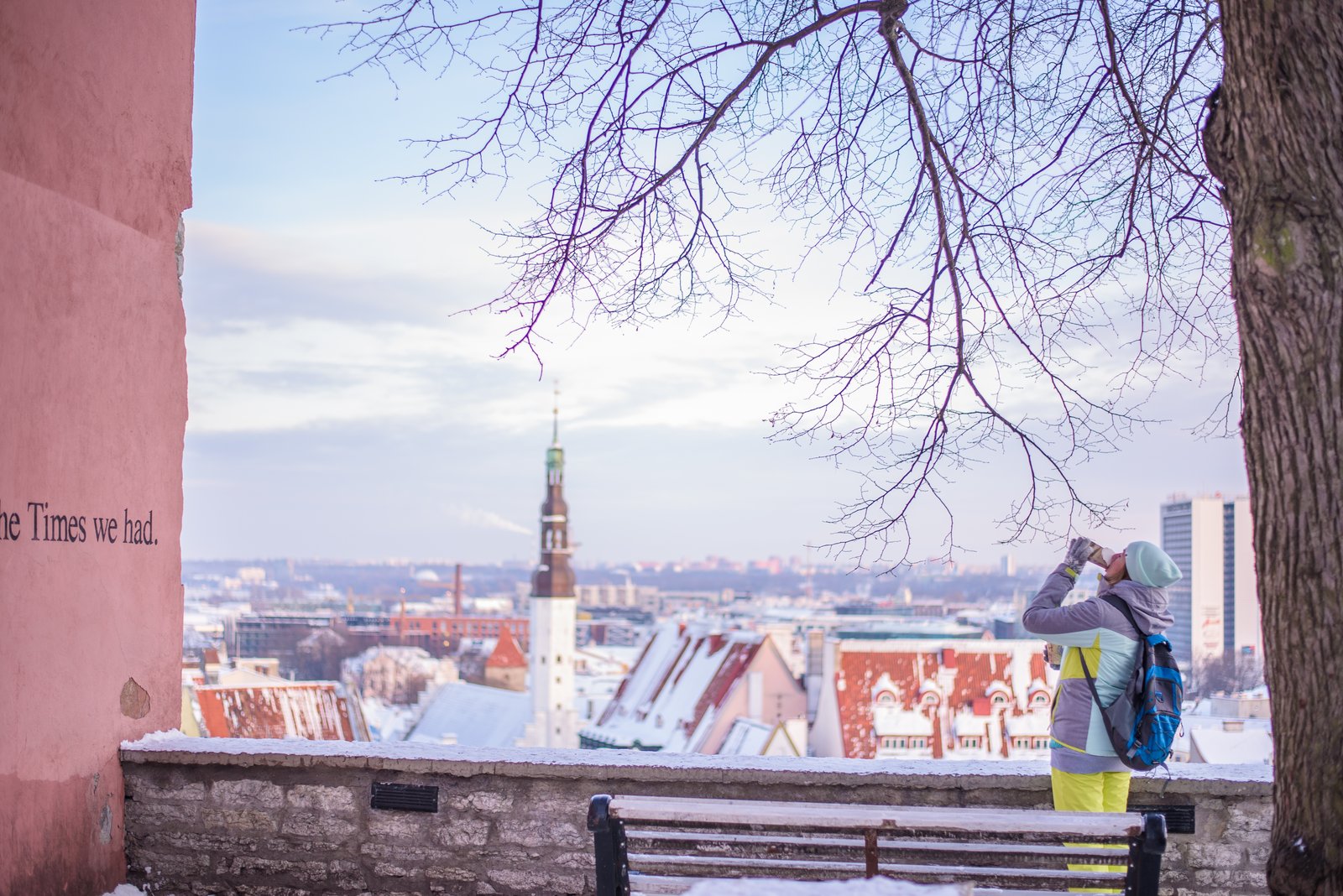 How to Apply for the Estonia Digital Nomad Visa
