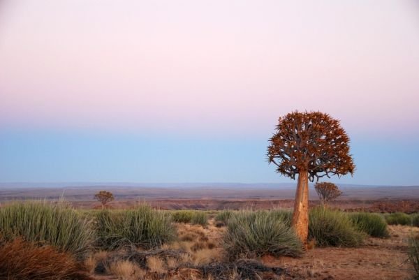 How to Apply for the Namibia Digital Nomad Visa