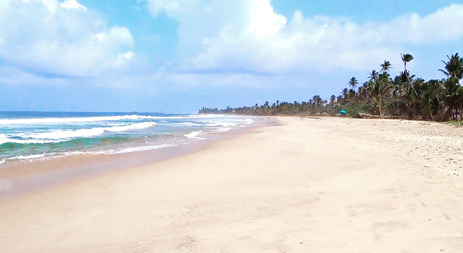 How to Apply for the Sri Lanka Digital Nomad Visa